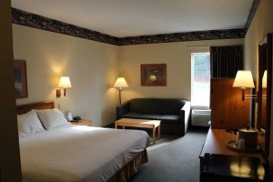 Pellston Lodge Room